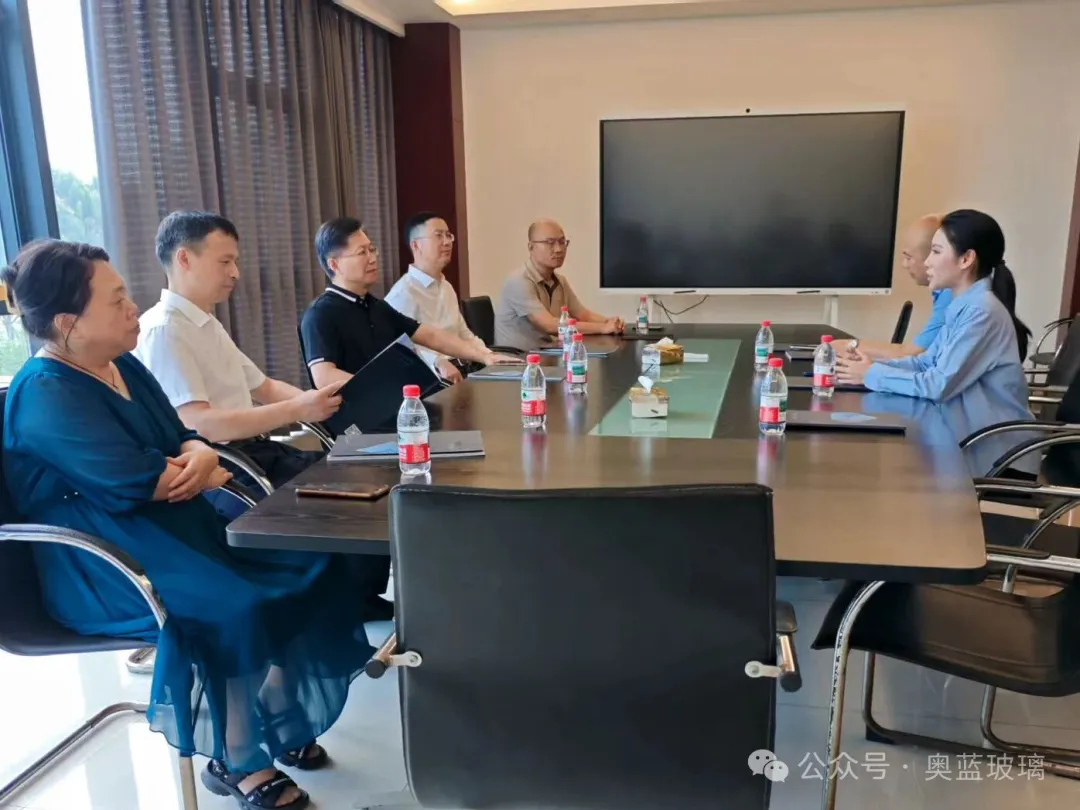 南通市政协副主席、市工商联主席陆建新带队专题调研奥蓝玻璃